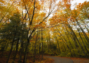 barrington new hampshire movers